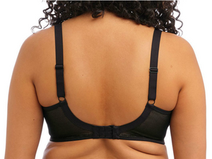 Kintai UW Plunge Bra