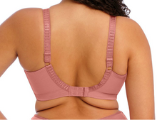 Load image into Gallery viewer, Cate Non Wired Bra